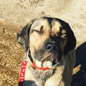 Meet your Posher, Johnathan